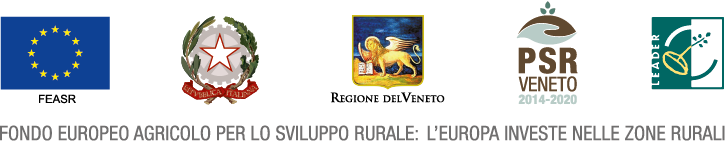 Logo Dolomiti Istituzionali